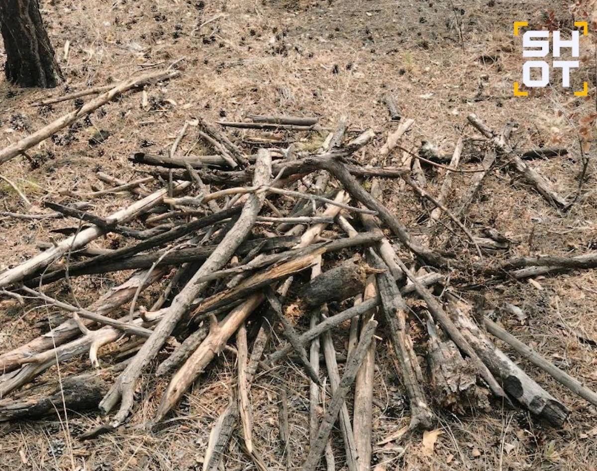 Найденные заготовки для костровищ. Фото © Telegram / SHOT