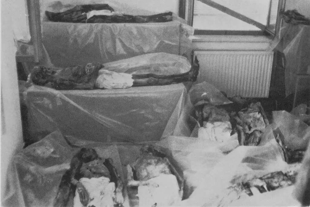 Судя по всему, жителям Венцоне было нормально. Фото © Wikipedia / Юкио Сандзё