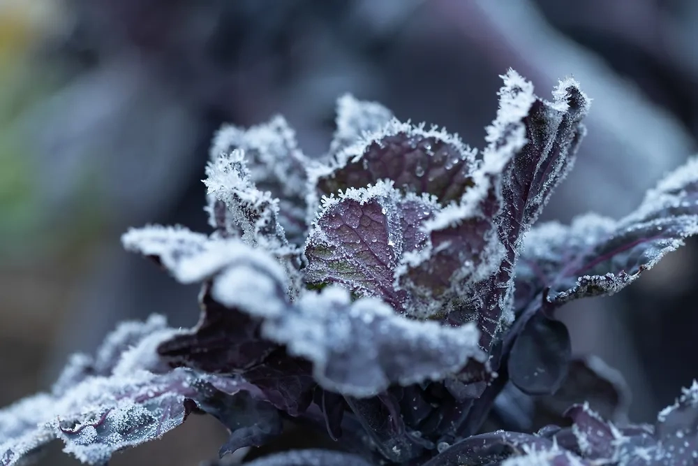 Обложка © Shutterstock / FOTODOM / leopictures