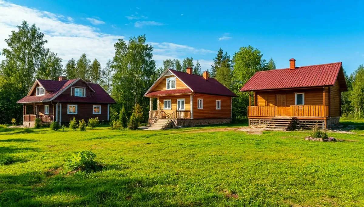 Земельный участок. Обложка © Шедеврум / Life.ru