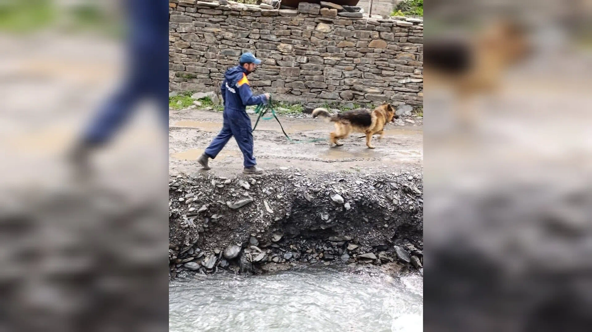 Поиски пропавшего в Дагестане мальчика. Фото © ГУ МЧС по Дагестану
