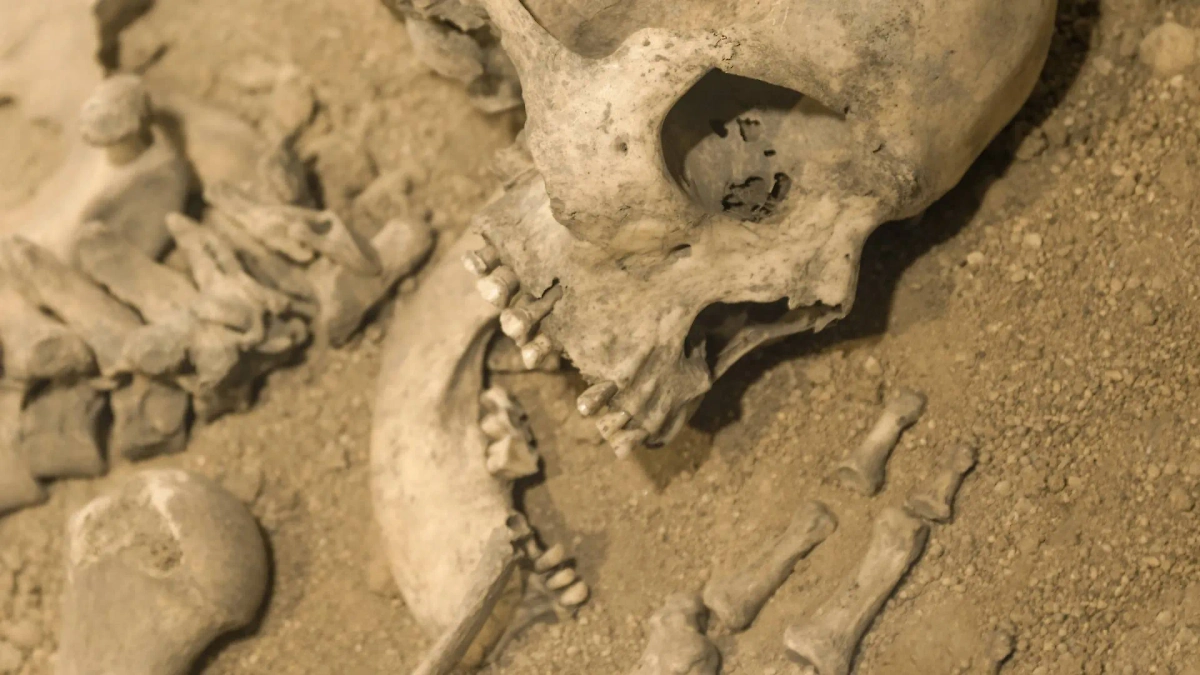 Почему вегетарианство существовало ещё 2 миллиона лет назад. Фото © Shutterstock / FOTODOM / GAS-photo