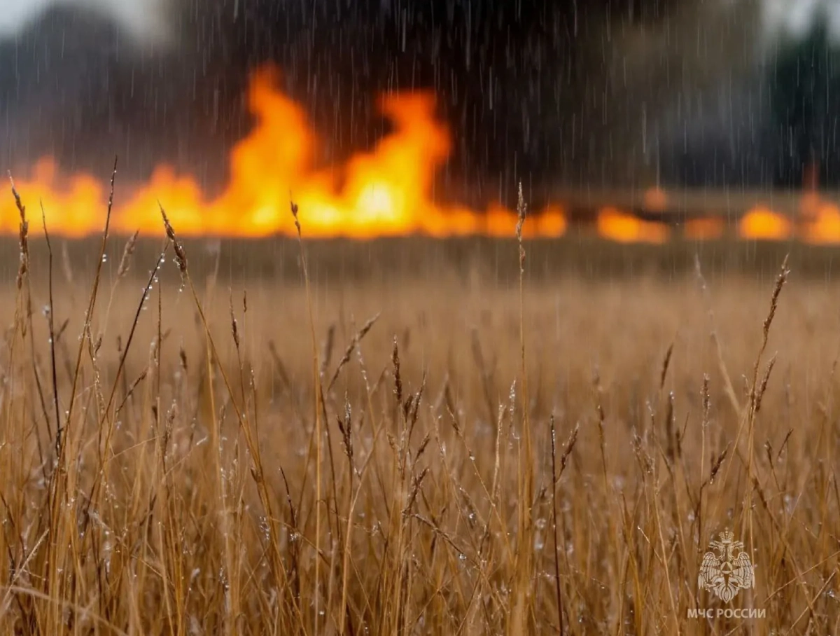 Фото © Telegram / МЧС Амурской области 