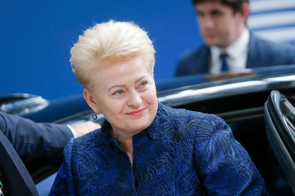 Даля Грибаускайте. Обложка © ТАСС / POOL / EPA / JULIEN WARNAND