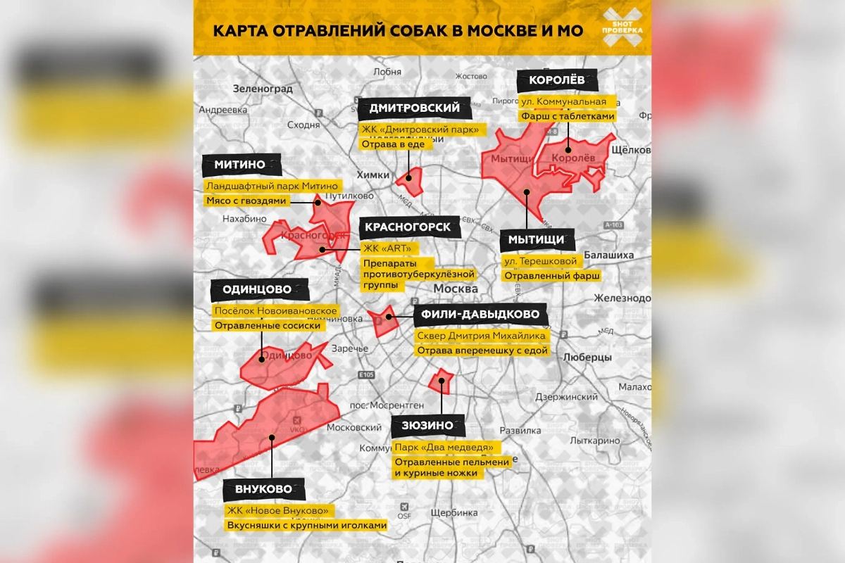 айонов Московского региона, где орудуют догхантеры. Фото © Telegram / SHOT ПРОВЕРКА