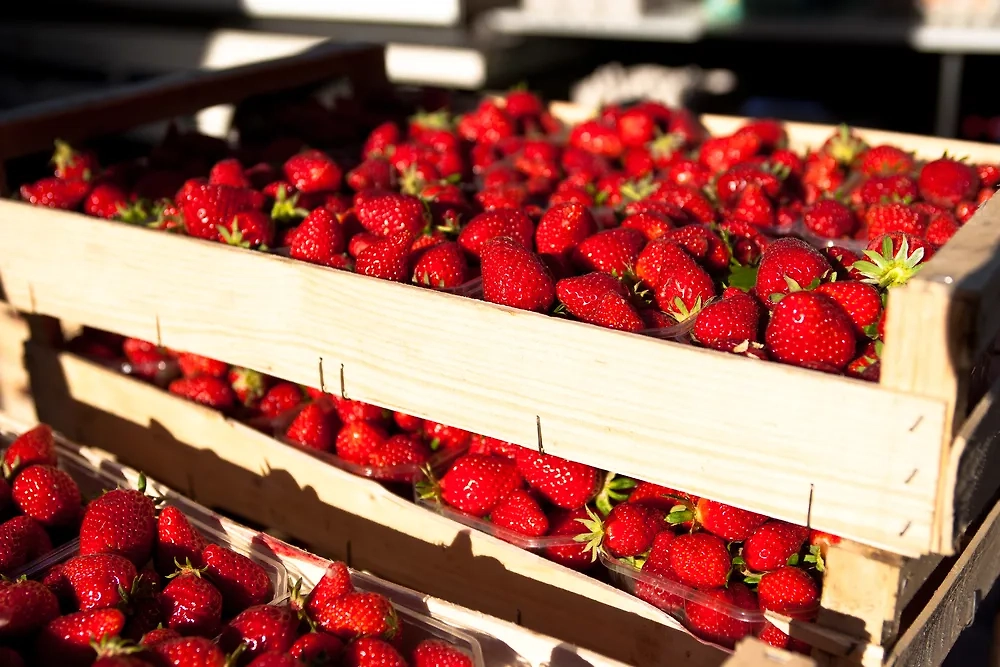 Клубника. Обложка © Shutterstock / FOTODOM / Gareth Kirkland