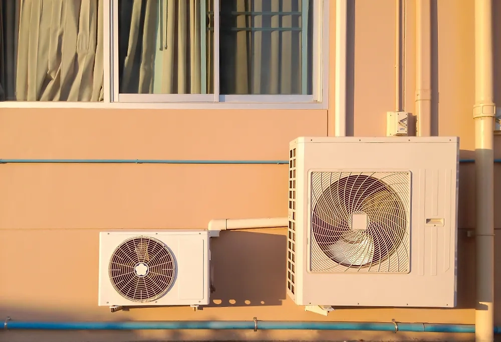 Обложка © Shutterstock / FOTODOM / merrymuuu