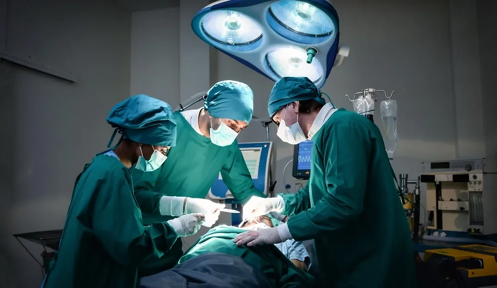 Обложка © Shutterstock / FOTODOM / Nuttawut Uttamaharad