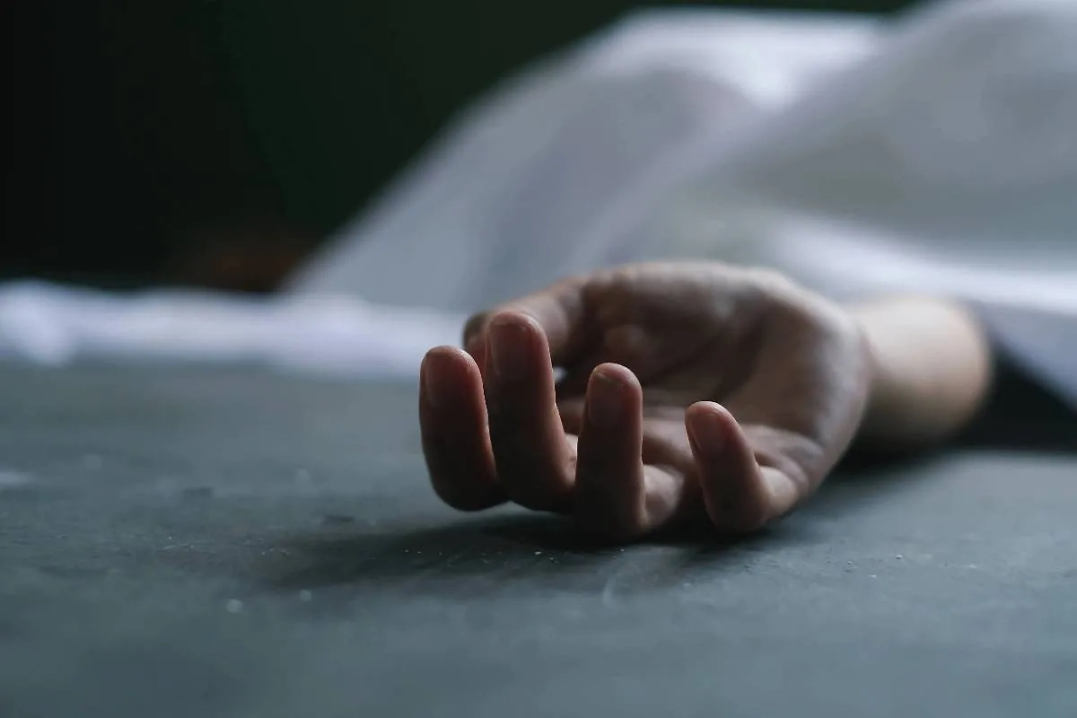 Обложка © Shutterstock / FOTODOM / thanun vongsuravanich