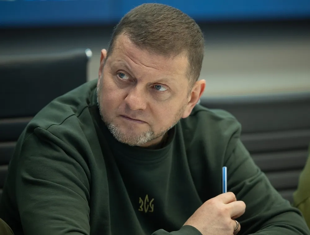 Валерий Залужный. Обложка © Shutterstock / FOTODOM / photowalking