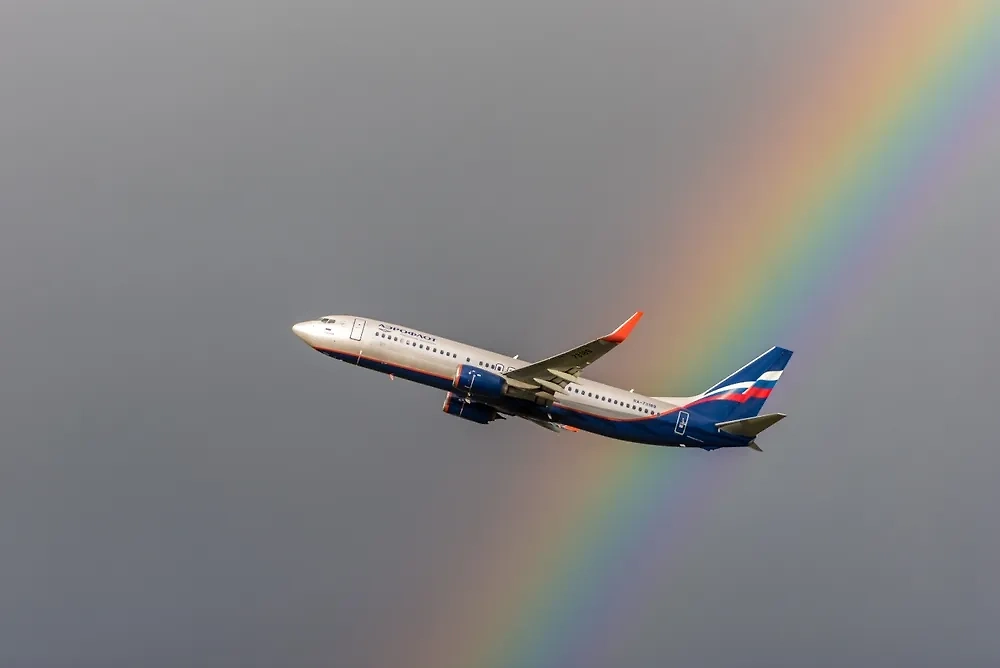 Обложка © Shutterstock / FOTODOM / Alexandr Zimovskoy