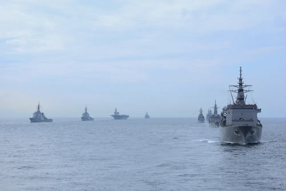 Обложка © Shutterstock / FOTODOM / viper-zero