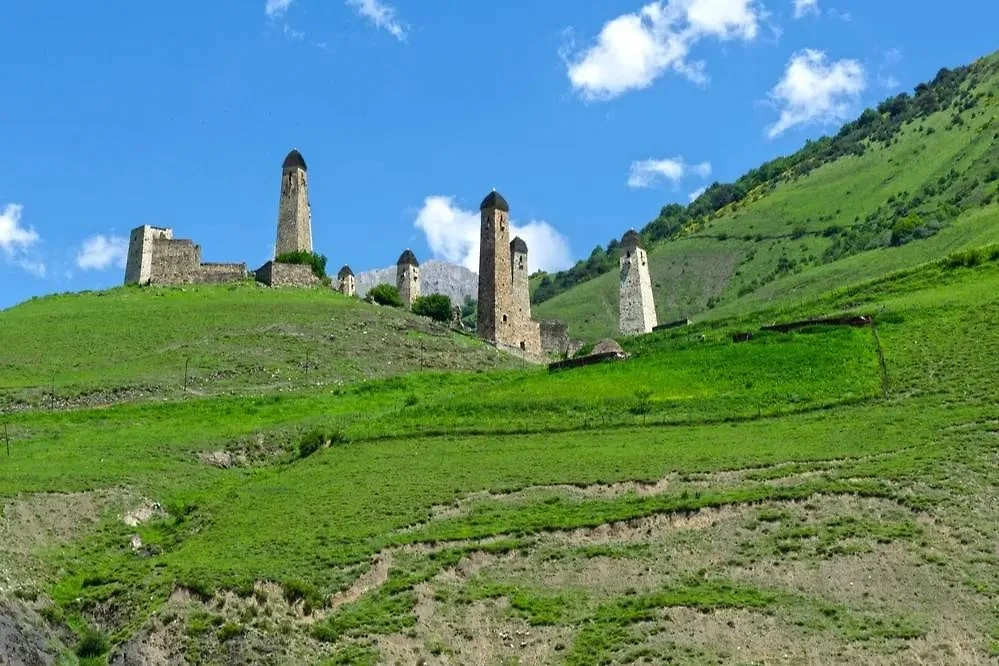 Обложка © Shutterstock / FOTODOM / DMITRII A KUDASOV