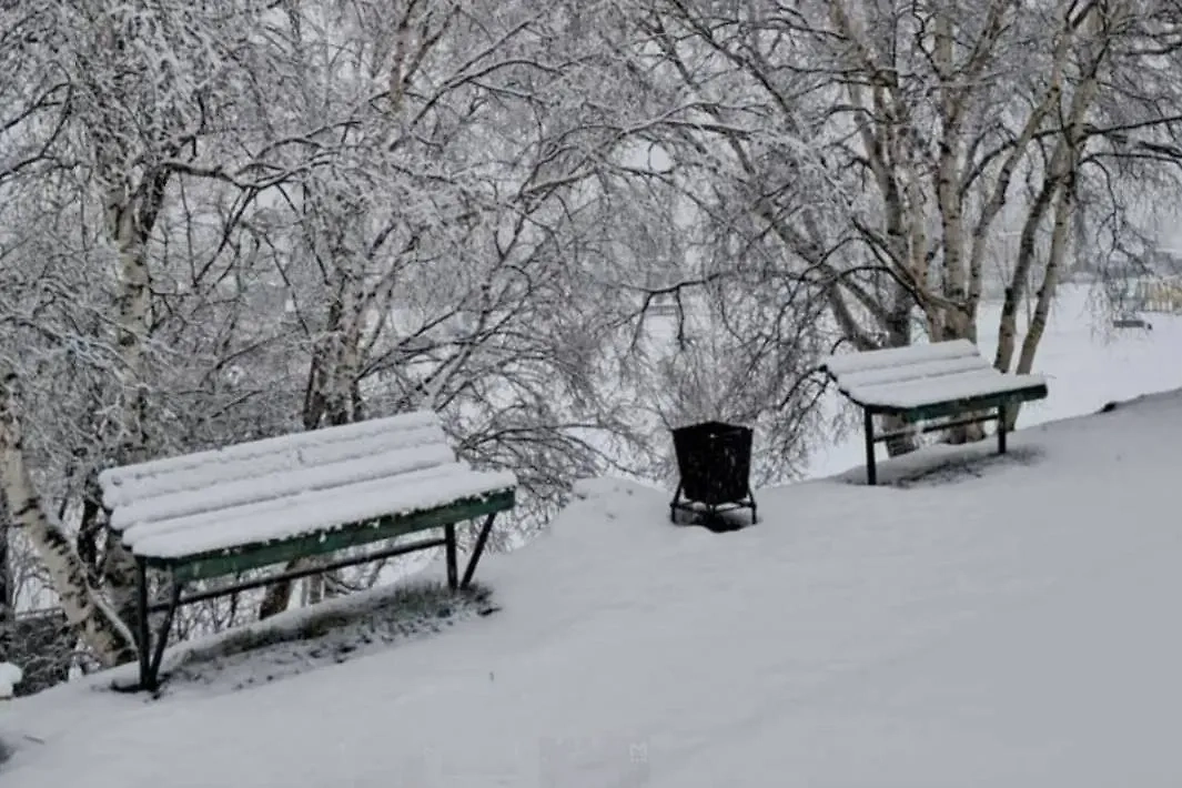 В центральных районах Камчатки выпал снег. Обложка © Telegram / «Фобос. Катаклизмы и катастрофы природы»