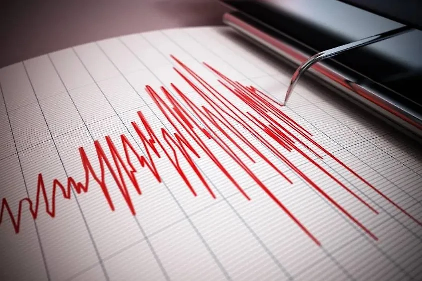 Сейсмограф. Обложка © Shutterstock / FOTODOM / DestinaDesign