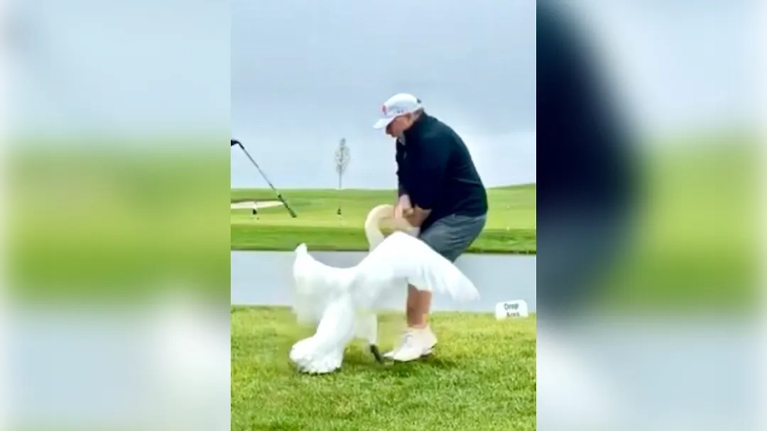 Уиткофф пытается защититься от лебедя. Обложка © Truth Social / Donald J. Trump