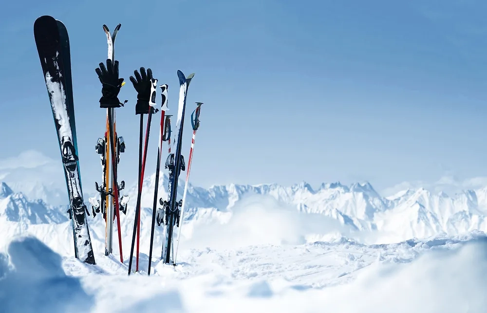 Обложка © Shutterstock / FOTODOM / lassedesignen