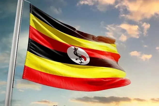 Обложка © Shutterstock / FOTODOM / em_concepts