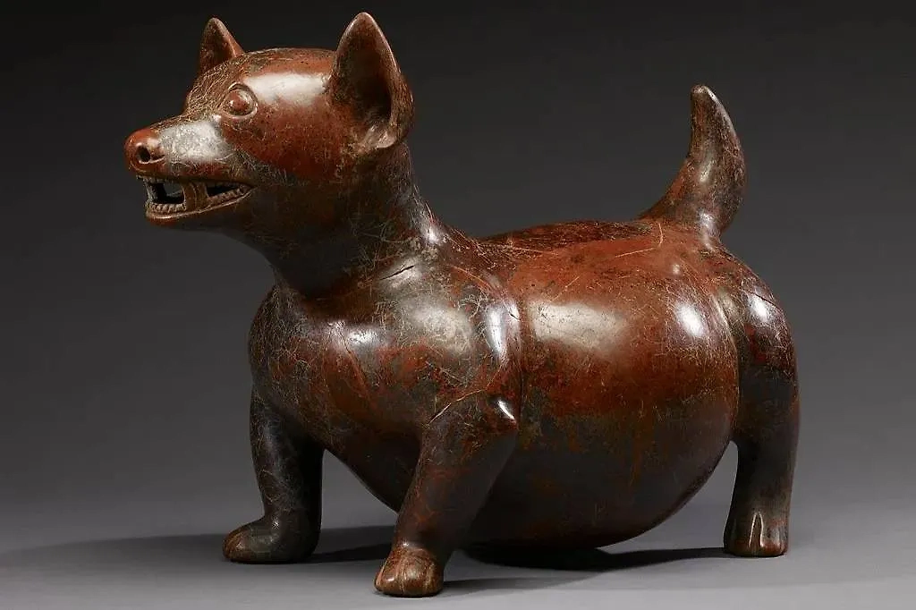 Предков чихуахуа разводили индейцы Центральной Америки. Фото © Wikipedia / Walter Art Museum