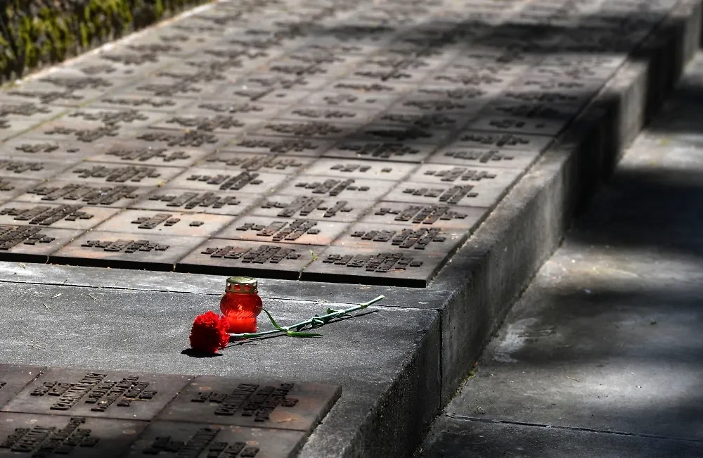 Обложка © РИА Новости / Михаил Воскресенский