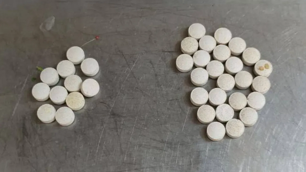 Найденные в вольерах таблетки с неизвестным веществом. Обложка © Telegram / Светлана Акулова