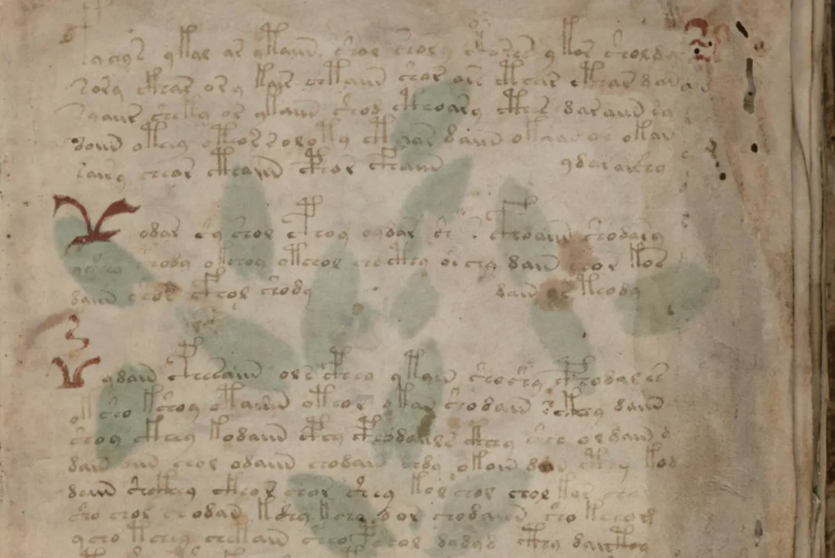 Рукопись Войнича — древняя книга. Правда, её смысл совсем никому не понятен. Фото © Wikipedia 