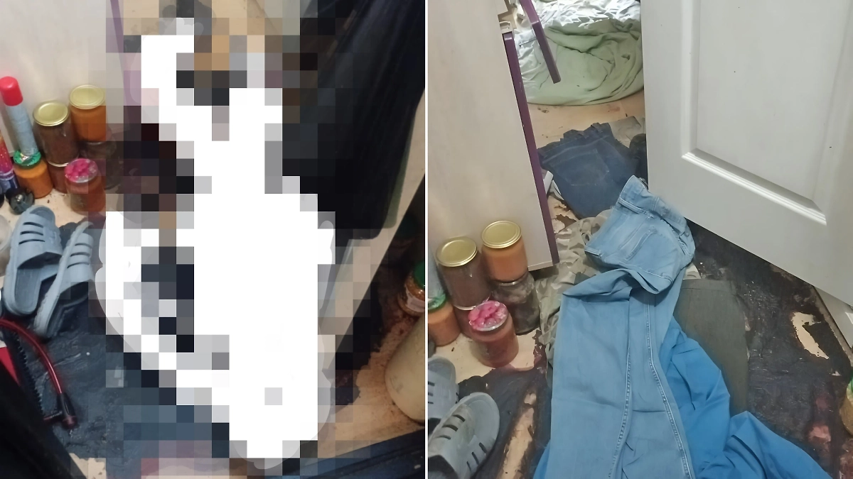 Труп мужчины больше месяца лежит в одной из квартир Новосибирска. Обложка © Telegram / АСТ-54 Black