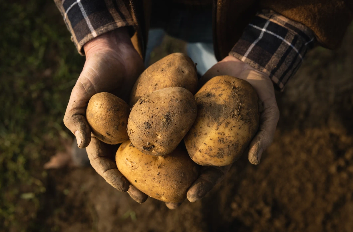 Обложка © Shutterstock / FOTODOM / Kitreel
