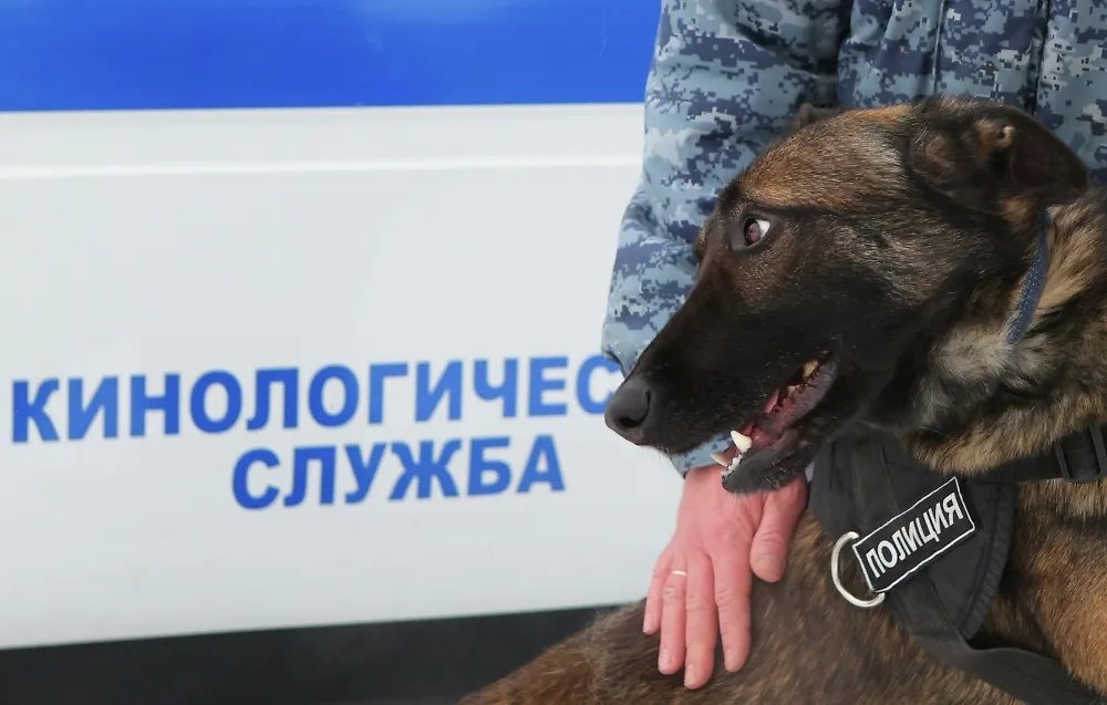 Обложка © РИА Новости / Антон Вергун