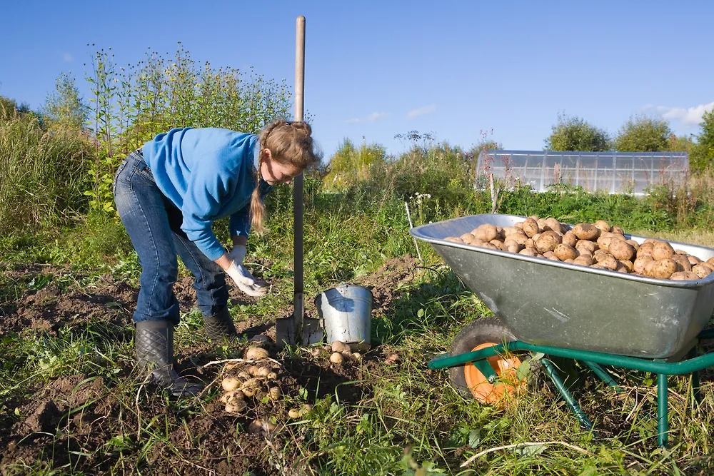 Обложка © Shutterstock / FOTODOM / Alexey Fursov