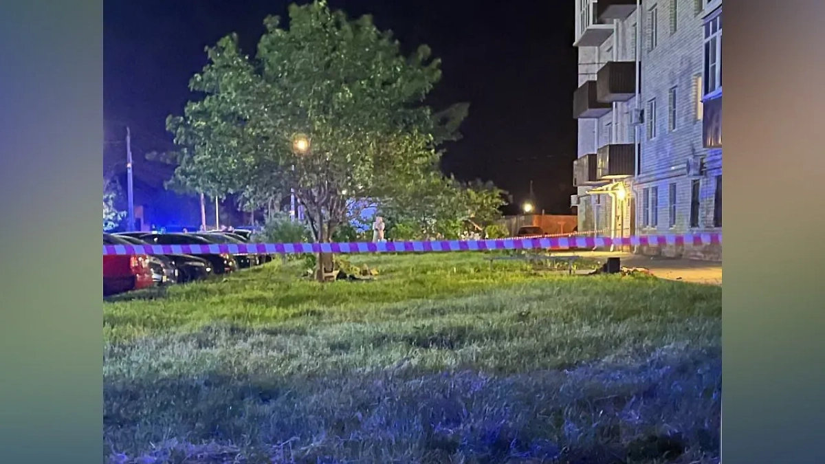 Обложка © Telegram / SHOT