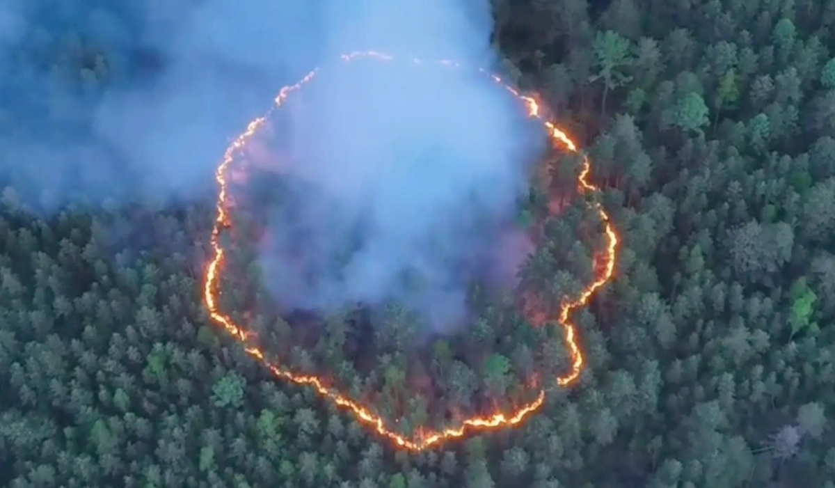 Обложка © «Борус. Люди» 