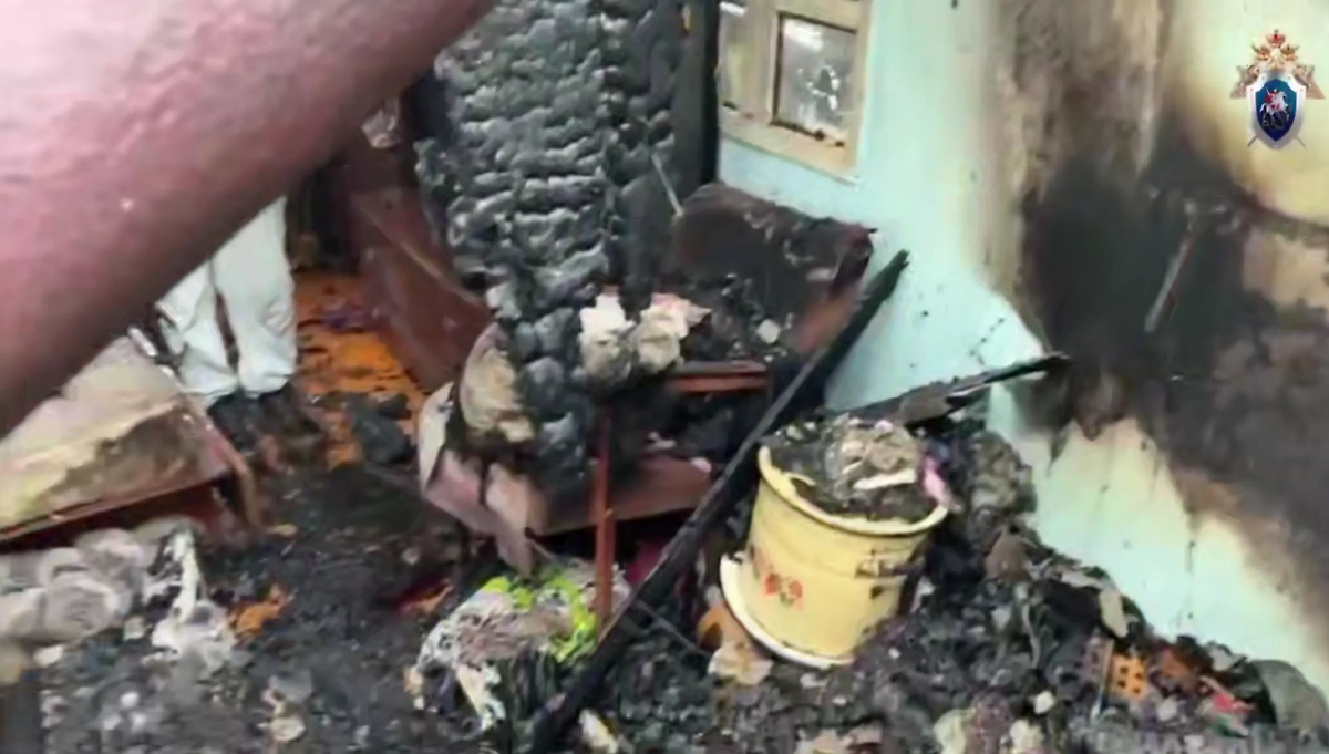 Место бойни в СНТ «Горный Байкал». Обложка © СК РФ