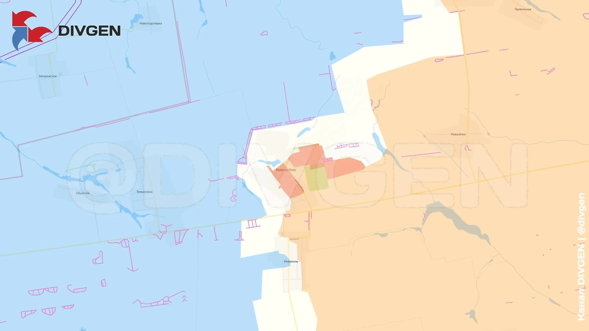 Карта СВО на 29 мая 2025 года. В результате наступательных действий 394-го мотострелкового полка 5-й Армии группировки «Восток» освобождён населённый пункт Зелёное Поле. Фото © Telegram / DIVGEN 🚩 Карта СВО