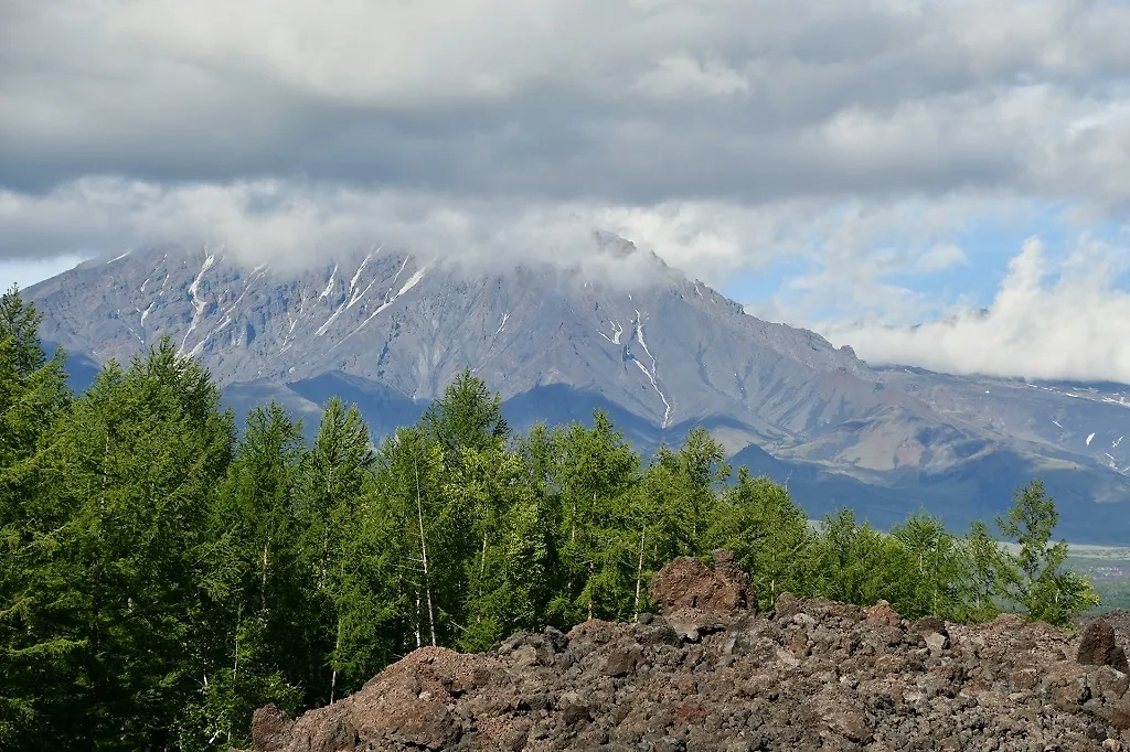 Камчатка. Обложка © unsplash.com / SnapSaga