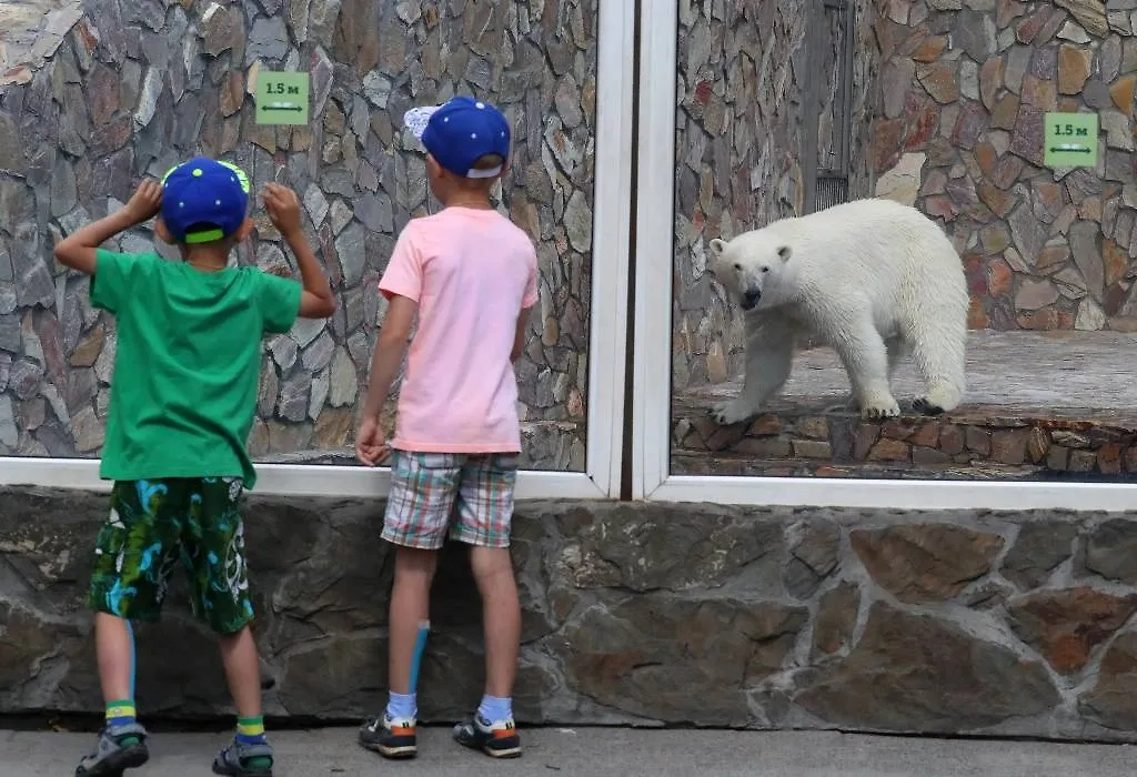 Посетители в Ленинградском зоопарке. Фото © ТАСС / Петр Ковалев