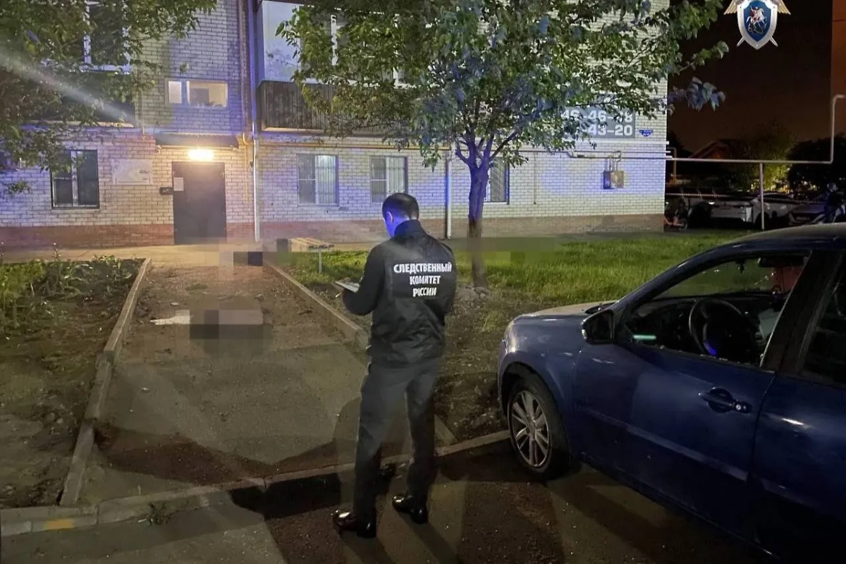 Обложка © Telegram / СУ СК России по Ставропольскому краю