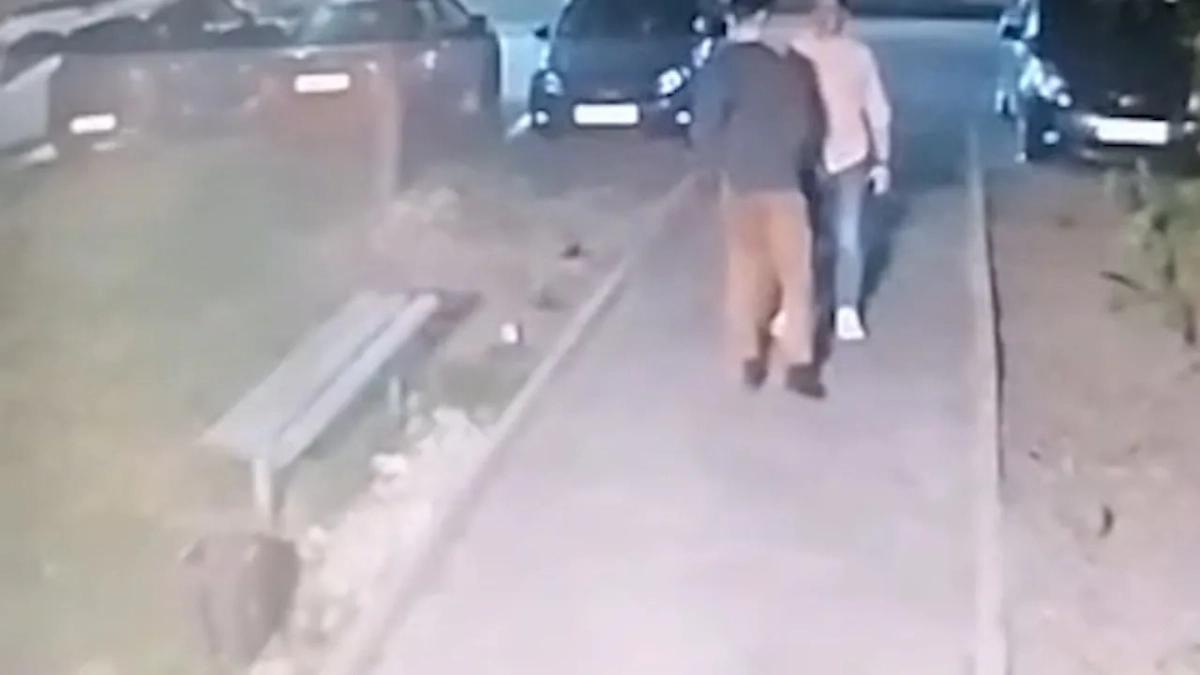 Обложка © SHOT