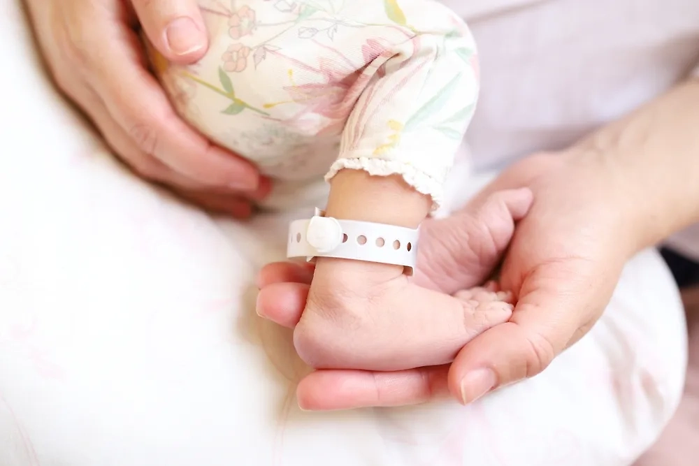 Обложка © Shutterstock / FOTODOM / Larysa Dubinska