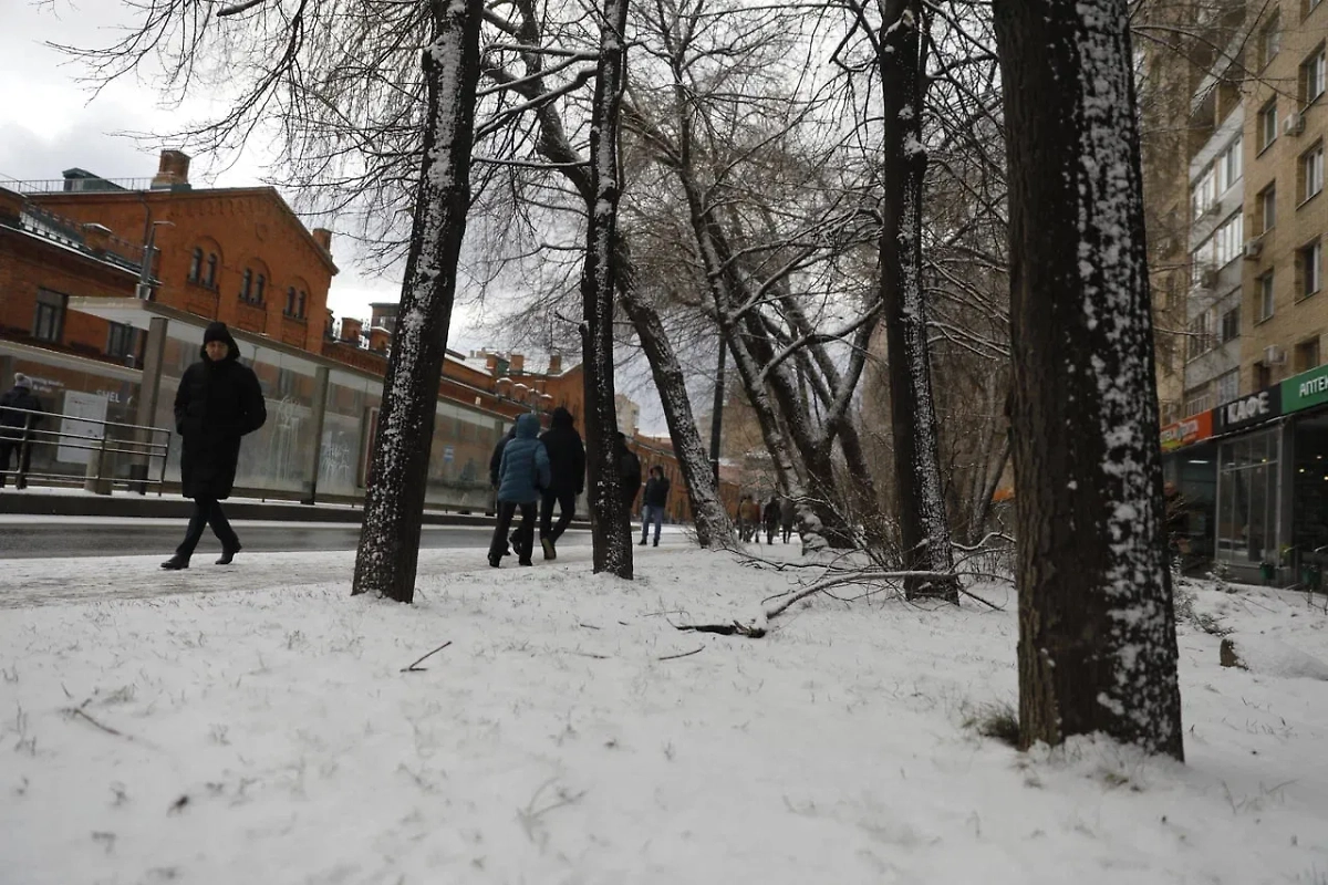 Снегопад. Обложка © Life.ru