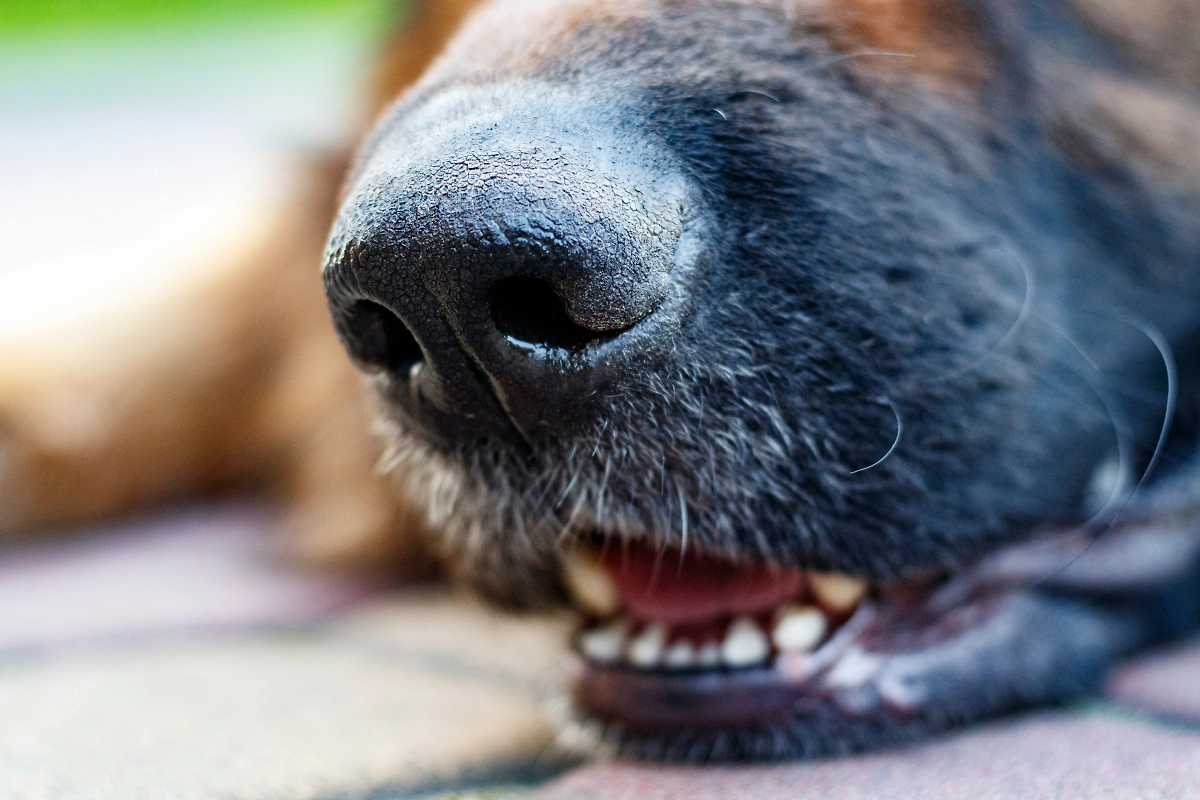 Обложка © Shutterstock / FOTODOM / Marcin Bury