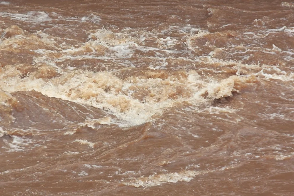 Паводок. Обложка © Shutterstock / FOTODOM / Pimonpim T