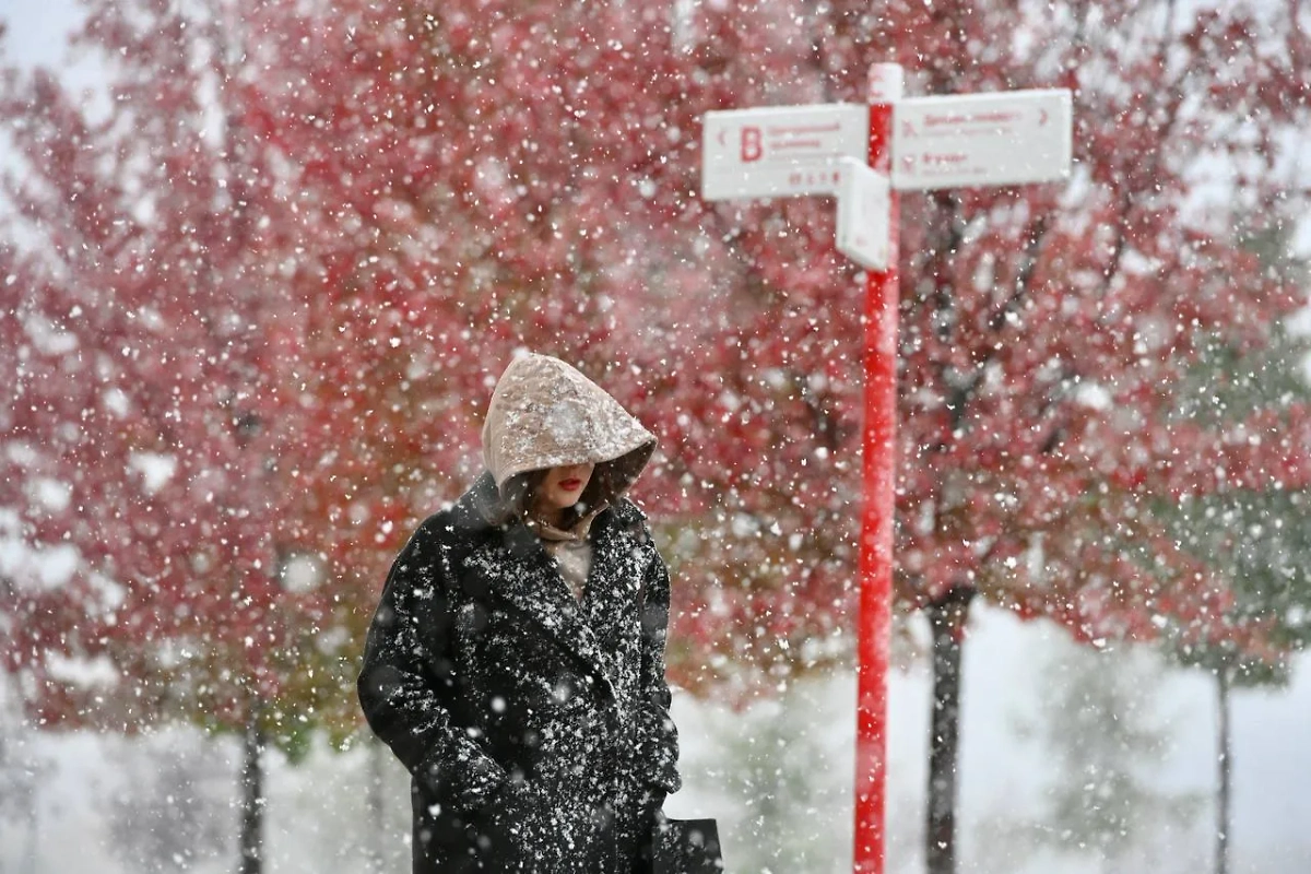 Снегопад в Москве. Обложка © Life.ru