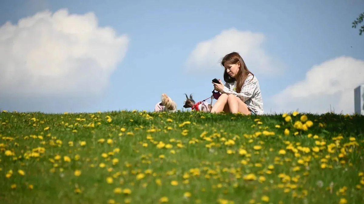 Обложка © Life.ru