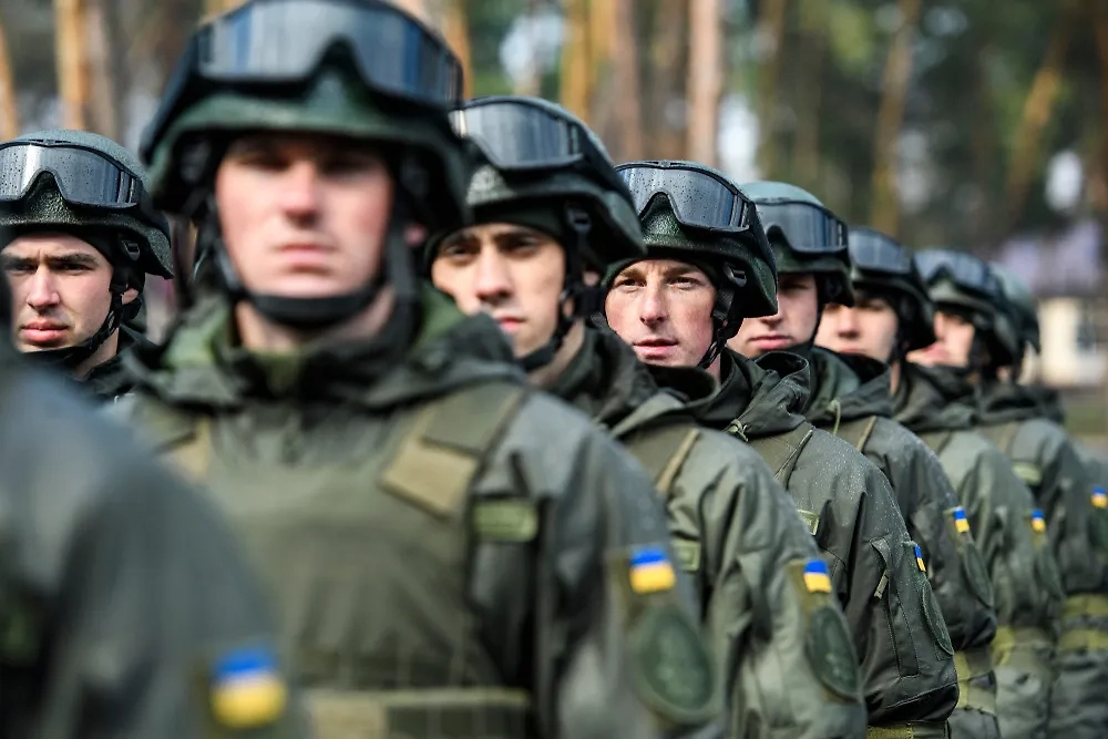 Военнослужащие. Обложка © Shutterstock / FOTODOM / paparazzza