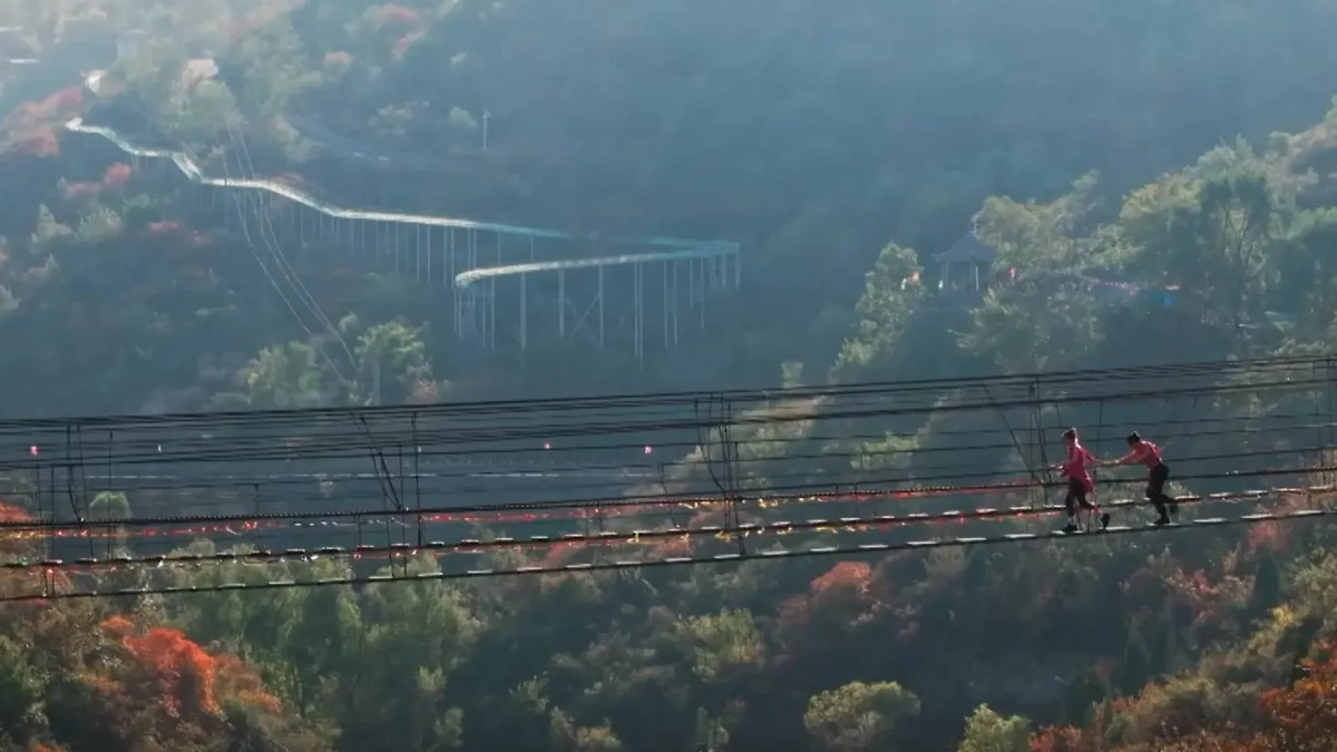 Участникам 7-го выпуска «Сокровищ императора» нужно было перебраться через ущелье по подвесному мосту. RuTube / Cокровища императора Сокровища императора