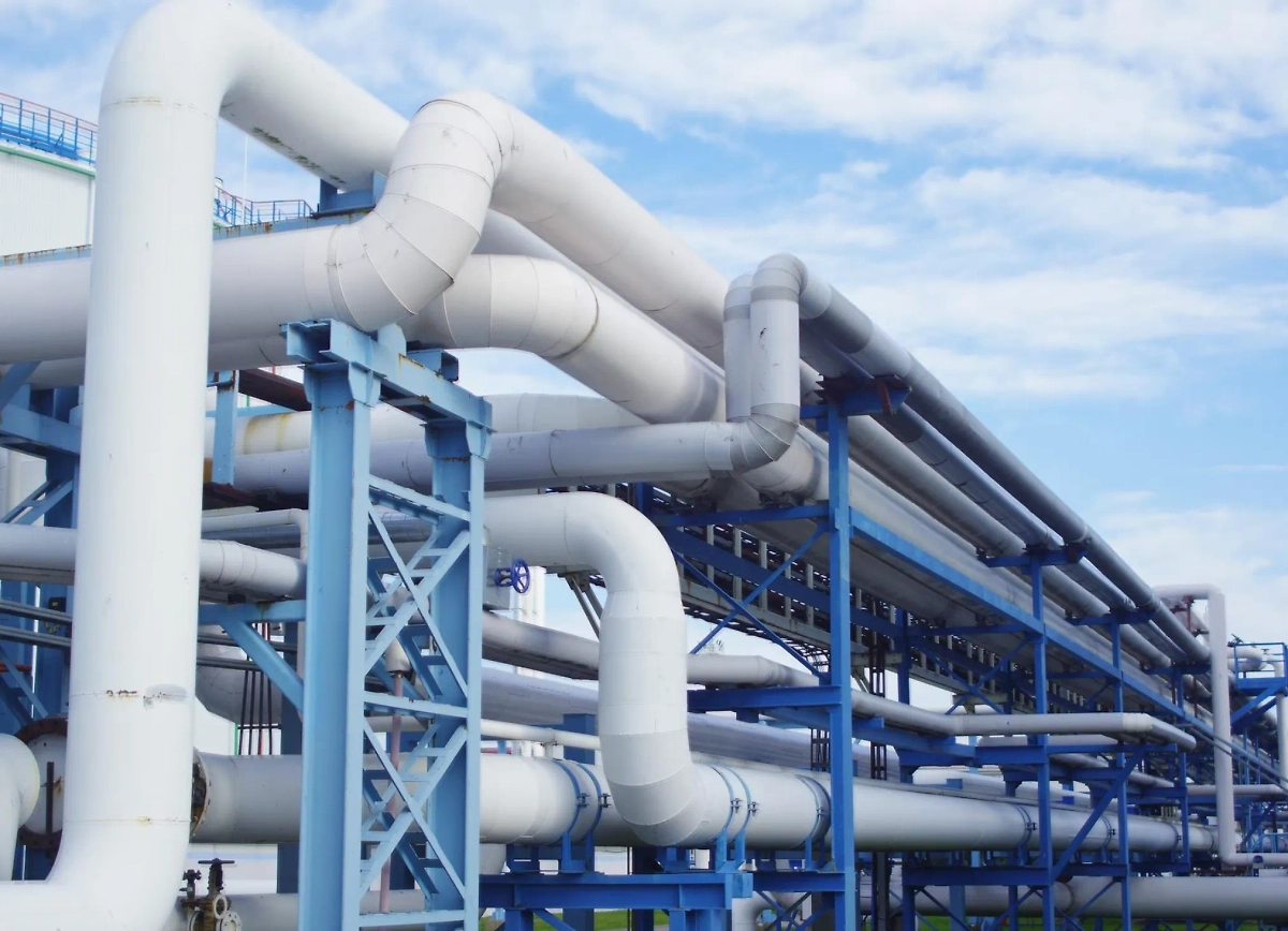 Обложка © freepik