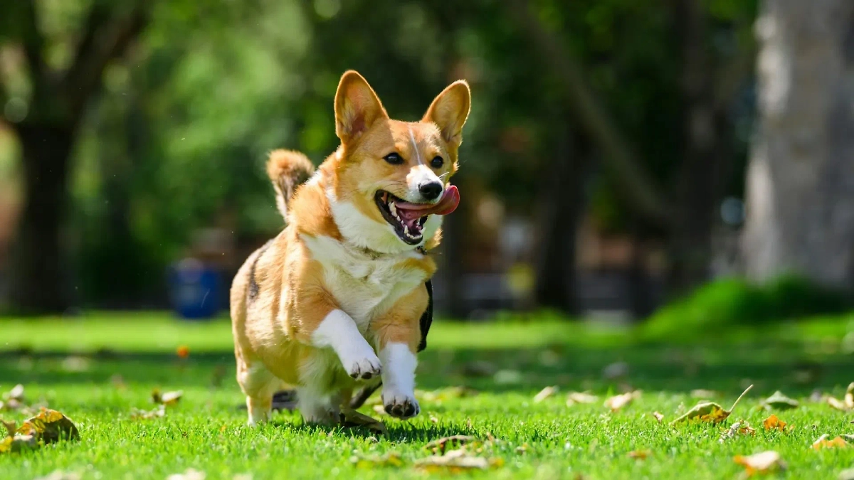 Фото © Unsplash / Vlad D