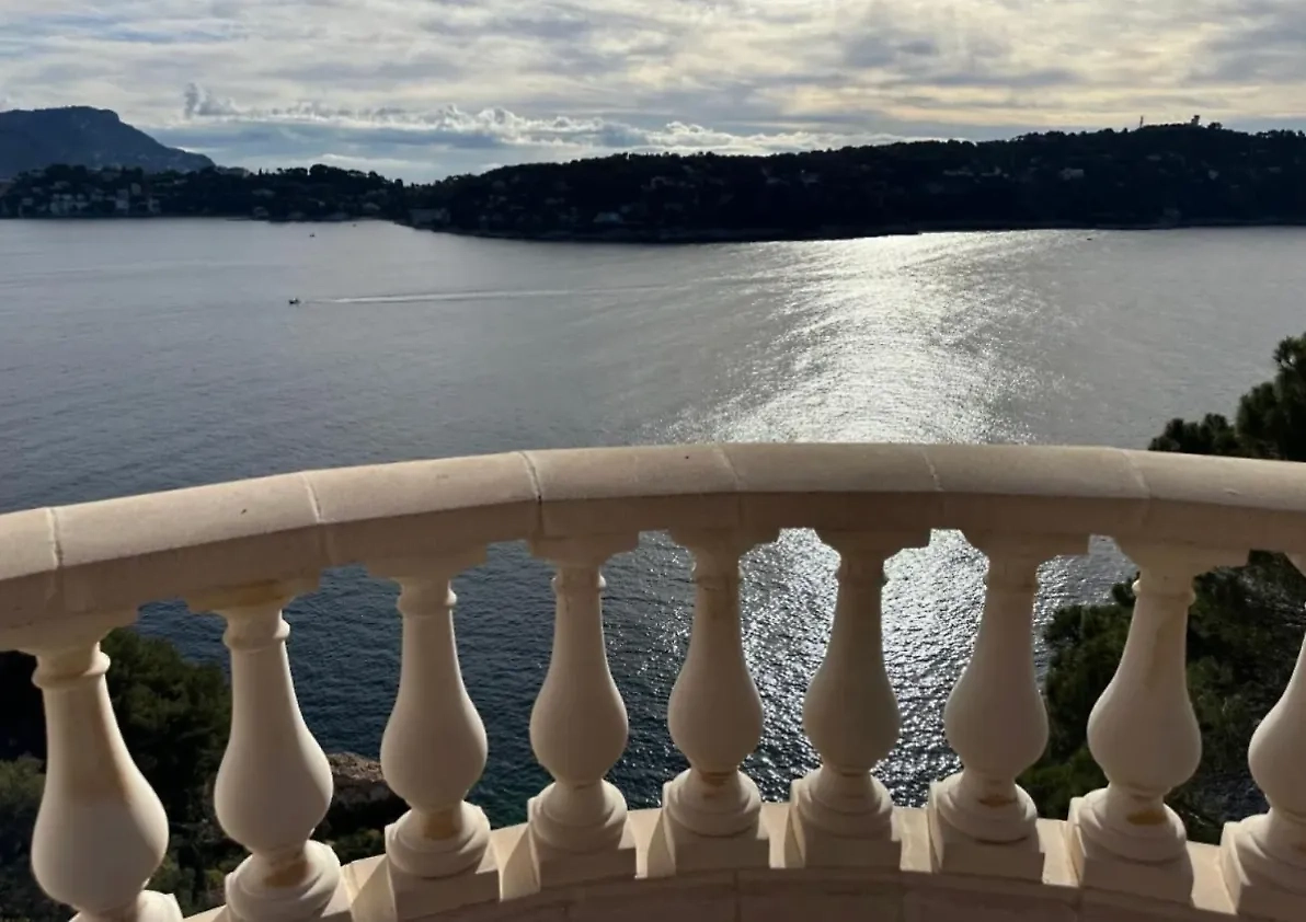 Вилла «Араукария» в Ницце. Такая роскошь, по оценке местных риелторов, стоит шесть млн долларов. Фото © booking.com