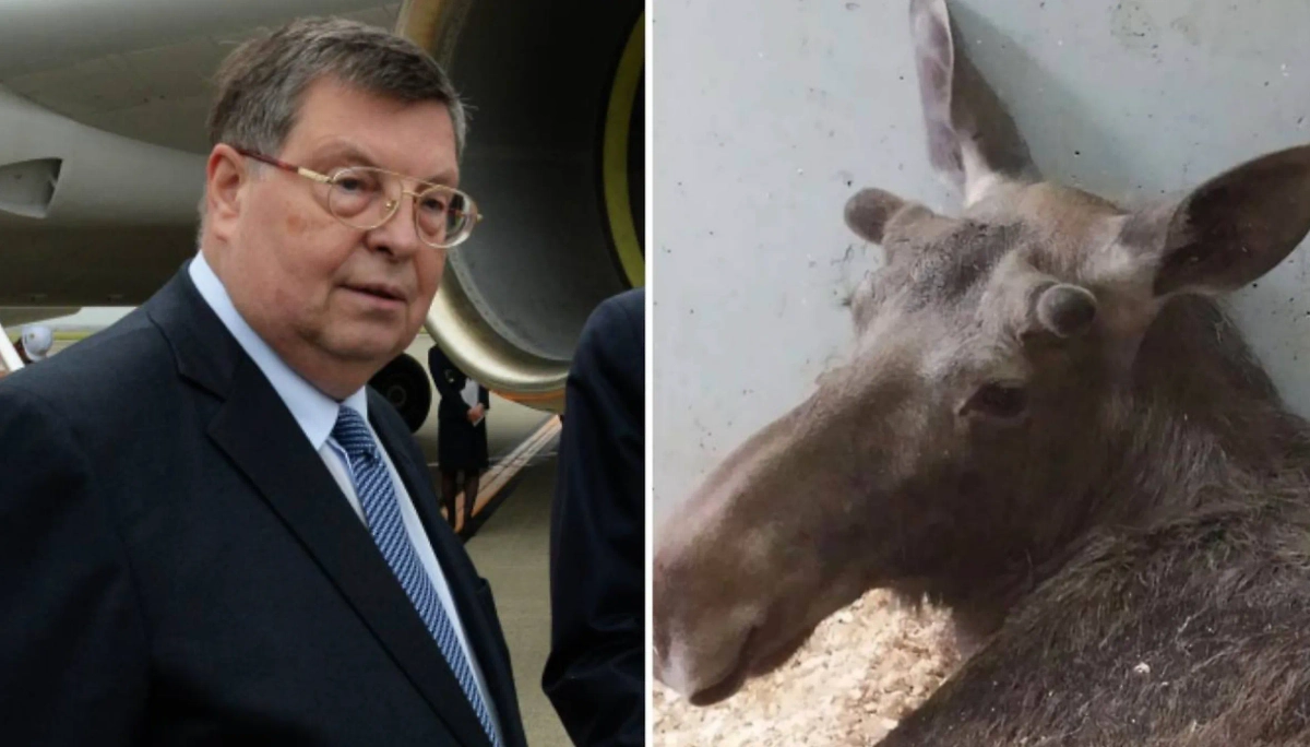 Обложка © РИА Новости / Наталья Селиверстова/ Life.ru 